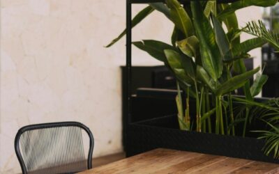 Onderhoudstips om je houten meubels en vloeren in topconditie te houden
